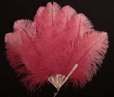 Lot 2145 - An Early 20th Century Raspberry Pink/Slightly Shaded Ostrich Feather Fan, the feathers mounted...