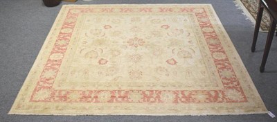 Lot 1235 - Afghan Ziegler rug of unusual size, the ivory field of vines and flowerheads enclosed by pale brick