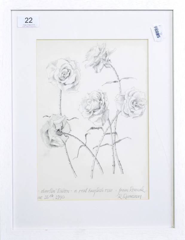 Lot 22 - Ramsey, Remak Pencil Drawing of Roses, 1990, framed and glazed. Dedicated from Remak to...