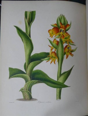 Lot 171 - Maund (Benjamin) assisted by J.S. Henslow The Botanist, containing Accurately Coloured Figures...