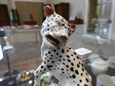 Lot 537 - A Meissen Porcelain Figure of a Leopard, circa 1750, after the model by Johann Joachim...