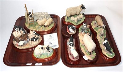 Lot 36 - Border Fine Arts Classic and Studio sheep and collie models including: 'Element of Surprise', model