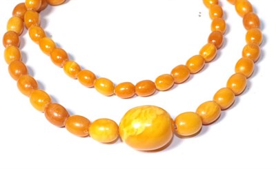 Lot 325 - A graduated amber bead necklace, length 86cm