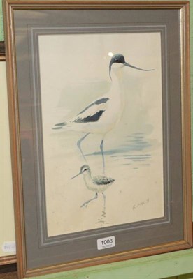 Lot 1008 - Rodger McPhail (b.1953) Study of an Avocet and it's chick, watercolour, signed lower left, 37cm...