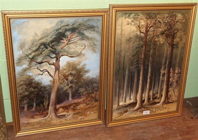 Lot 1051 - Edward Backhouse, ''Pine at Dukes House'', watercolour, signed and dated 1872, together with...