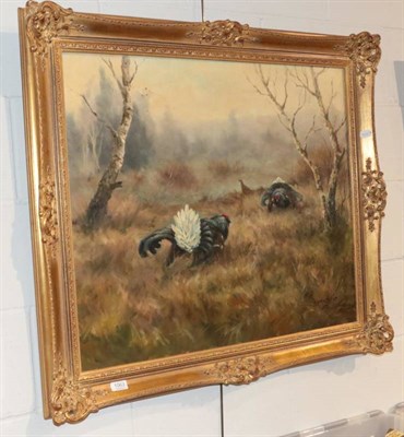 Lot 1063 - Grechlin (Continental school) A pair of black grouse in fighting pose, oil on canvas