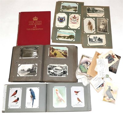 Lot 118 - Feathered World Postcard Size Cards a collection of approximately 70 examples; Singer Sewing...