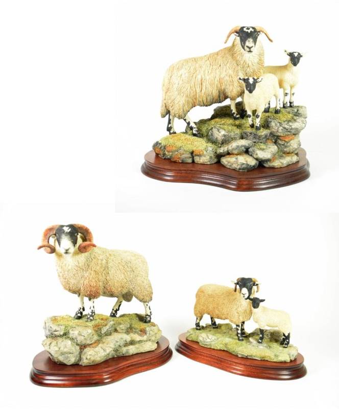 Lot 4 - Border Fine Arts 'A Ewe and a Pair' (Black-faced), model No. B0238 by Ray Ayres, limited...