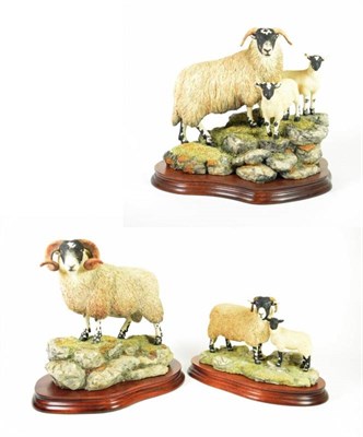 Lot 4 - Border Fine Arts 'A Ewe and a Pair' (Black-faced), model No. B0238 by Ray Ayres, limited...