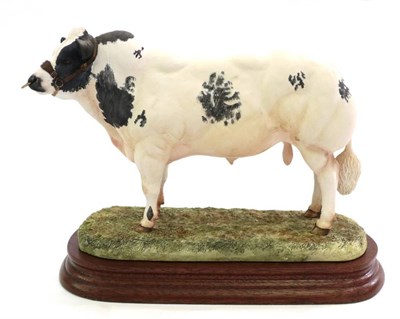 Lot 10 - Border Fine Arts 'Belgian Blue Bull' (Style One), model No. B0406 by Ray Ayres, limited edition...