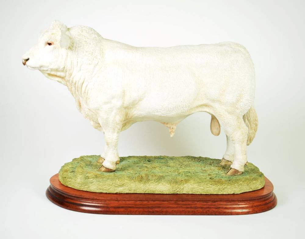 Lot 27 - Border Fine Arts 'Charolais Bull' (Style Two), model No. B0587 by Jack Crewdson, limited...