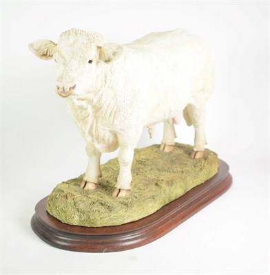 Lot 28 - Border Fine Arts 'Charolais Bull' (Style Two), model No. B0587 by Jack Crewdson, limited...