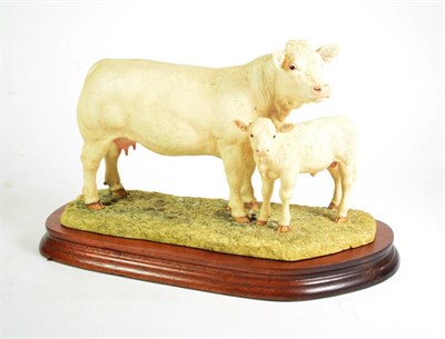 Lot 29 - Border Fine Arts 'Charolais Cow & Calf' (Style One), model No. L137 by Ray Ayres, limited...