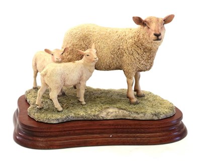 Lot 31 - Border Fine Arts 'Charolais Ewe and Lambs', modle No. L121 by Ray Ayres, limited edition...