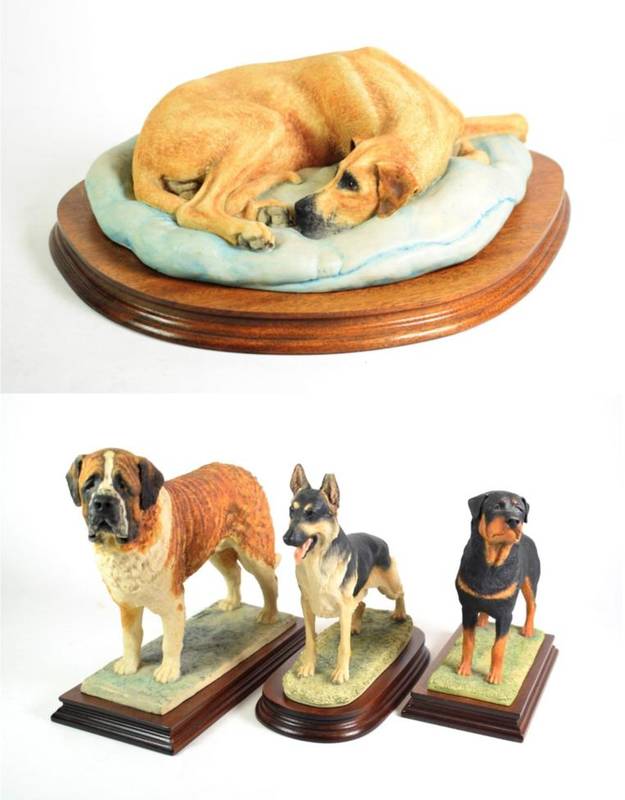 Lot 44 - Border Fine Arts Dog models comprising: 'St. Bernard', model No. L65,limited edition 35/500, on...