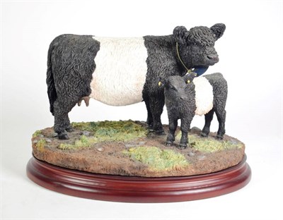 Lot 50 - Border Fine Arts 'Galloway Cow & Calf', model No. B1260 by Kirsty Armstrong, limited edition...