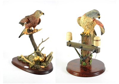 Lot 57 - Border Fine Arts 'Kestrel' (Style Four), model No. B0869, limited edition 107/350 and 'Red...