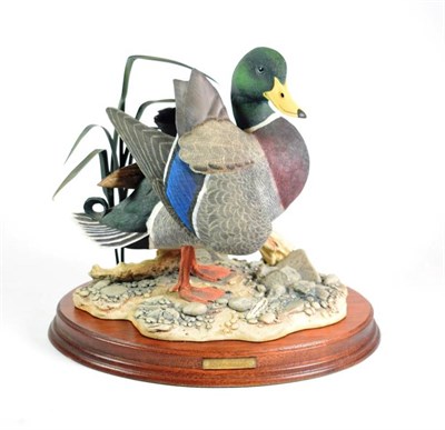 Lot 58 - Border Fine Arts 'Leonardo' (Mallard Duck), model No. L145 by Don Briddell, limited edition...