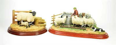 Lot 73 - Border Fine Arts 'Morning Feed' (Sheep and Border Collie), model No. A4067 by Hans Kendrick, on...