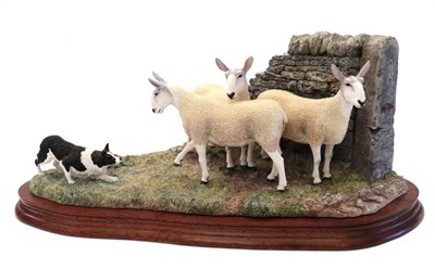 Lot 94 - Border Fine Arts 'Stand Off' (Border Collie and Sheep), model No. B0701 by Ray Ayres, limited...