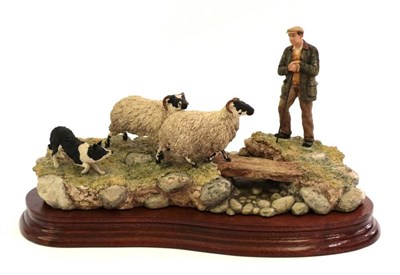 Lot 95 - Border Fine Arts 'Steady Lad, Steady' (Shepherd, Sheep and Collie), model No. JH90 by Ray...