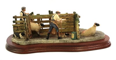 Lot 122 - Border Fine Arts 'Twice Under' (Sheep Dipping), model No. B0217 by Ray Ayres, limited edition...