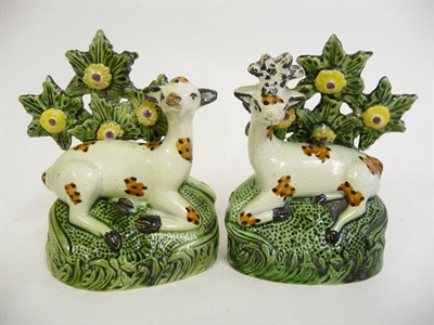 Lot 167 - A Pair of Pratt Type Pottery Figures of a Stag and Doe, circa 1800, each recumbent on a green...