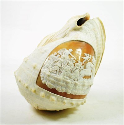 Lot 175 - A Cameo Carved Conch Shell, Neapolitan, late 19th/early 20th century, carved with classical figures