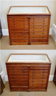 Lot 399 - A Pair of Victorian Mahogany Museum Specimen Display Cabinets, late 19th century, the top...