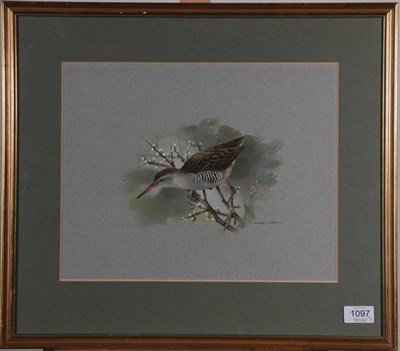 Lot 1097 - Raymond C Watson (1935-1994)  Study of a Bohemian Waxwing Signed, watercolour, together with...