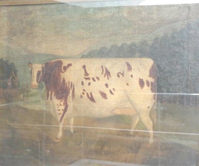 Lot 1099 - English School (19th century)  A primitive portrait of a prize cow Oil on canvas laid on board,...