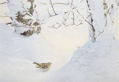 Lot 1118 - Jonathan Sainsbury (b.1951) Thrush in Snow Signed and dated (19)94, watercolour, 45cm by 63cm...