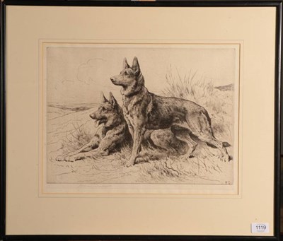 Lot 1119 - Herbert Dicksee (1862-1942) Alsatians Signed, etching, 30.5cm by 40.5cm