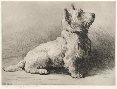 Lot 1120 - Herbert Dicksee (1862-1942) West Highland Terrier Signed, etching, 20.5cm by 28cm