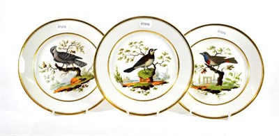 Lot 1339 - A Set of Three Darte Paris Porcelain Ornithological Plates, circa 1810, painted with studies of...