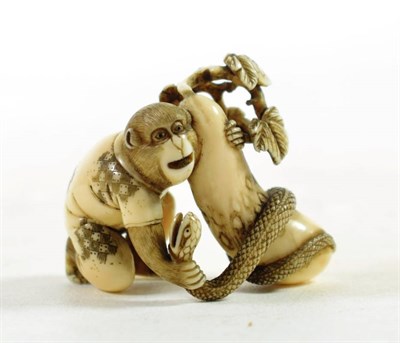 Lot 1442 - A Japanese Ivory Okimono, Meiji period, in the form of a monkey with a snake coiled round an...