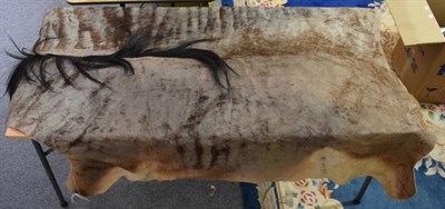 Lot 1205 - Hides/Skins: Blue Wildebeest Hide Floor Rug (Connochaetes taurinus), modern, a complete tanned...