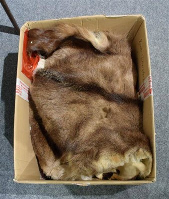 Lot 1206 - Hides/Skins: A Collection of Animal Hides, modern, including - 2 Roe Buck, 3 European Mouflon,...