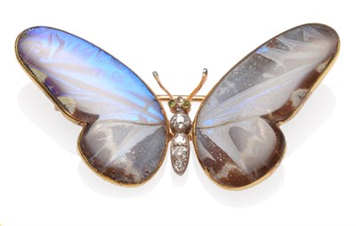 Lot 460 - A Butterfly Brooch, the wings of butterfly wing around a body set with old cut diamonds,...