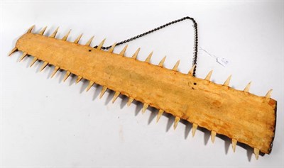Lot 2001 - Taxidermy: Sawfish Rostrum (Pristidae spp), circa late 19th century, 36 teeth, fitted with a linked