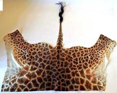 Lot 2067 - Hides/Skins: Southern Giraffe Flank Skin (Giraffa giraffa), modern, a full flank skin with complete
