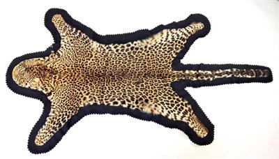 Lot 2095 - Taxidermy: African Leopard (Panthera pardus), circa 1920-1930, flat skin rug, with cushioned...