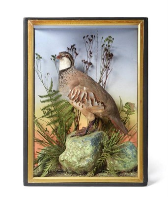 Lot 2166 - Taxidermy: A Victorian Cased Red-Legged Partridge (Alectoris rufa), in the manner of James...