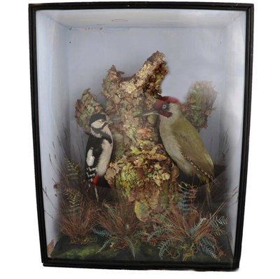 Lot 2169 - Taxidermy: A Victorian Cased Great Spotted Woodpecker and Green Woodpecker, by E.C. Saunders,...