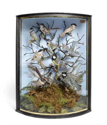 Lot 2170 - Taxidermy: An Edwardian Cased Diorama of Nine Various British Garden Birds, circa 1902, by John...
