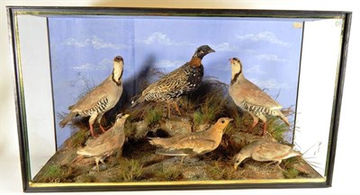 Lot 2201 - Taxidermy: A Cased Diorama of Game Birds, by John Cooper, 28 Radnor Street, St Luke's, London,...