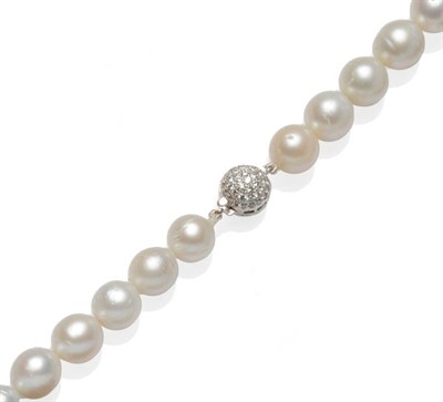 Lot 555 - A Cultured South Sea Pearl Necklace, the thirty-four uniform pearls each measuring 12.5mm...