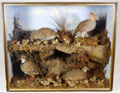 Lot 2244 - Taxidermy: A Victorian Cased Diorama of Grey Partridge and Red-Legged Partridge, by H.C. Hudson, 18