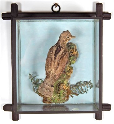 Lot 2246 - Taxidermy: A Victorian Cased Eurasian Wryneck (Jynx torquilla), full mount perched clinging to...