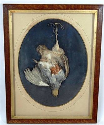 Lot 2257 - Sporting: A Trompe L'oeil, Study of a Partridge, coloured print, oval mounted and framed, 43cm...